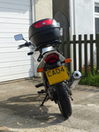 FZ005167 Rear view used Honda CBF 250 for sale.jpg